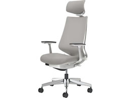 �R�N�� �`�F�A �f���I��2 �A���~�r �N�b�V���� �\�t�g�O���[