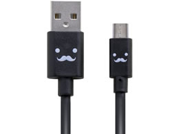 GR microUSBP[u 2Ao 1.2m MPA-FAMB2U12CBK