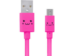 GR microUSBP[u 2Ao 1.2m MPA-FAMB2U12CPN