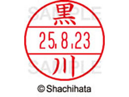 V`n^ f[^[l[EX12}X^[    XGL-12M-1000