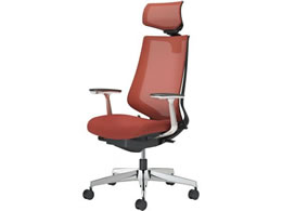 �R�N�� �`�F�A �f���I��2 �A���~�r ���b�V�� �p�[�V�A�����b�h