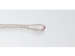 issei CY Xpe 2.5 #035 PCC{[