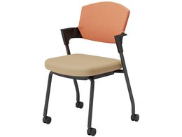 RN cCX vbeB LX^[^Cv K17B22CW1K0Y2