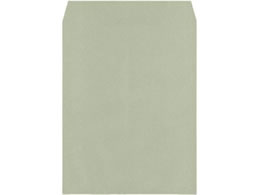 LOR[|[V p3 100g X~\ O[ 500 080527