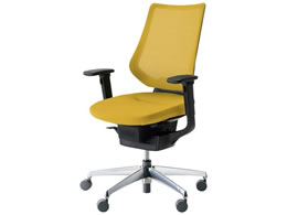 �R�N�� �C���O ���b�V���w���� �I�L V�L���X�^�[ CRGA3413E6G41SV