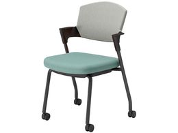 RN cCX vbeB LX^[^Cv K17B22CW39E22