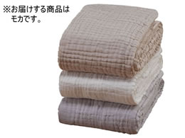 t@~[ECt 100%ӂ6dK[[Pbg J a3497630