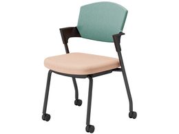 RN cCX vbeB LX^[^Cv K17B22CW9G392