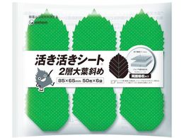 jE`[ GtbV}X^[V[g 2wt΂ 300