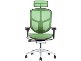 Ergohuman �G���S�q���[�}�� �G���W���C2 �n�C�^�C�v�@�O���[�� 389596