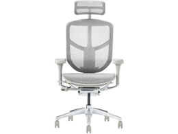 Ergohuman �G���S�q���[�}�� �G���W���C2 �n�C�^�C�v�@�z���C�g 389598