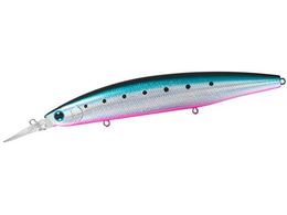 _C VACVCi[ZZbgAbp[145SDR gCV