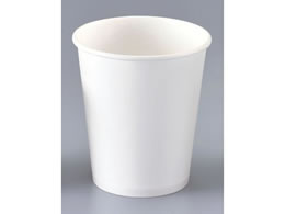 EBM Rbv n 3IX 100 a55