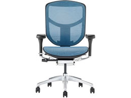 Ergohuman �G���S�q���[�}�� �G���W���C2 ���[�^�C�v�@�u���[ 389605