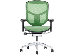 Ergohuman �G���S�q���[�}�� �G���W���C2 ���[�^�C�v�@�O���[�� 389606