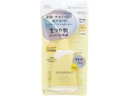 R[Z[RX|[g E~ivX┧낢t ICubN