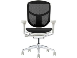 Ergohuman �G���S�q���[�}�� �G���W���C2 ���[�^�C�v �u���b�N 389607