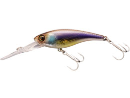 WbJ \EVbh52SP #POLS[XgJTM