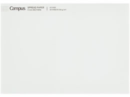 RN LpX |[gpbh [SPREAD PAPER] A3 -SP705S5