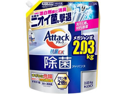 KAO A^bN  AhoX l֗p 2030g