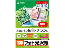 TTvC J[[U[ptHg  A4 100