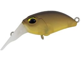 fI VK N[KFMR #M111 JJInj[