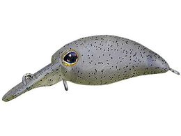 WbJ TM уpjN DR-SS #Ԓ