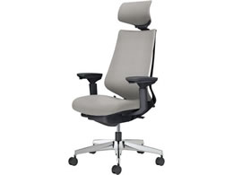 �R�N�� �`�F�A �f���I��2 �A���~�r �N�b�V���� �\�t�g�O���[