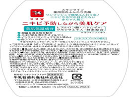 牛乳石鹸 スキンライフ 薬用泡のふんわり洗顔 本体160ml×24