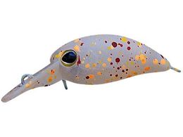 WbJ TM уpjN DR-SS #~bNXI[