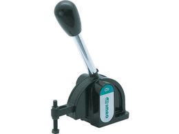 C}I XibvNv(_E^Cv) QLSND28-05