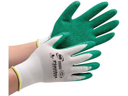 ~hS Ǝ vebNXO[u VRSwLL