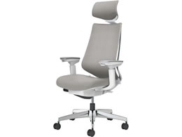 �R�N�� �`�F�A �f���I��2 �A���~�r �N�b�V���� �\�t�g�O���[