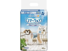 ���j�E�`���[�� �}�i�[�E�F�A �j�̎q �X�g���C�v�W�[���Y M 42��