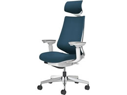 �R�N�� �`�F�A �f���I��2 �A���~�r �N�b�V���� �l�C�r�[