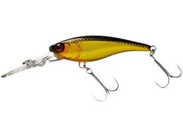 WbJ JK \EVbh52SP #HLLN