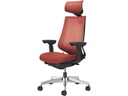 �R�N�� �`�F�A �f���I��2 �A���~�r ���b�V�� �p�[�V�A�����b�h