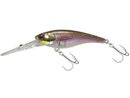 WbJ JK \EVbh45SP #JJTM