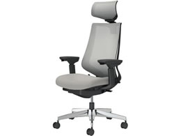 �R�N�� �`�F�A �f���I��2 �A���~�r ���b�V�� �\�t�g�O���[