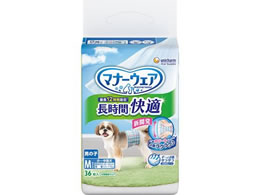 ���j�E�`���[�� �}�i�[�E�F�A ������ �I���c �j�̎q M 36��