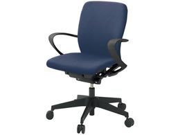 �C�g�[�L �t���S�`�F�A ���[�o�b�N �Œ�I �E���^���L���X�^�[ BK NB