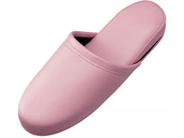 X}[go[ RۃXbp 10g sN N117J-PK