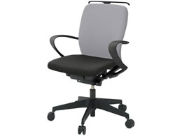 �C�g�[�L �t���S�`�F�A ���[�o�b�N �Œ�I �E���^�� �n���K�[ BK LGY�~BK