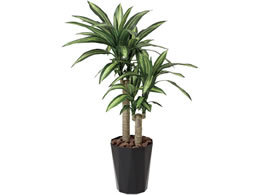 A[gNGCV K̖ 1.1m 61280031