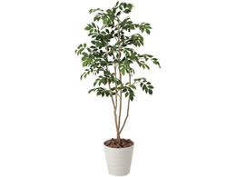 A[gNGCV }EeAbV 1.3m 61280033