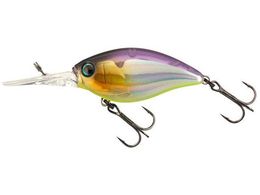 WbJ JK ubNbp[ 48MR #oo^NŃ[U[