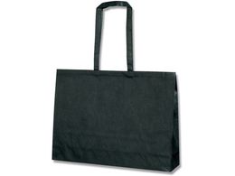 wCR[ 񂰑 FobO LV_[  10 008739501