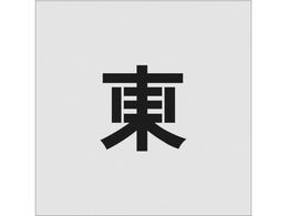 IM XeV  TCY100~65mm AST-99