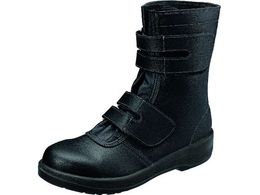 �V����/2�w�E���^���ϊ��y�ʈ��S�C