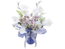 t@~[ECt ̊y G}H A[gt[ a a34343